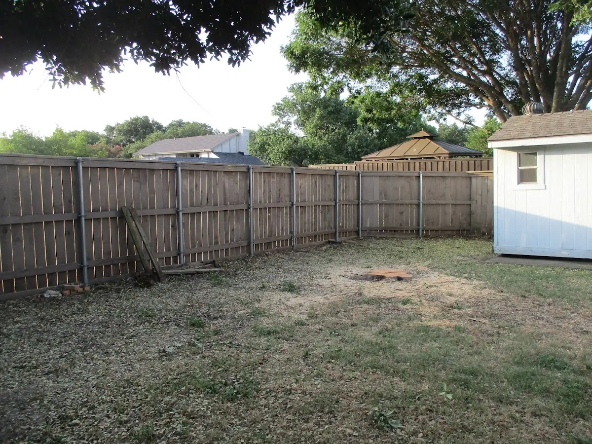 Cleared yard after professional tree removal in Gilmore City