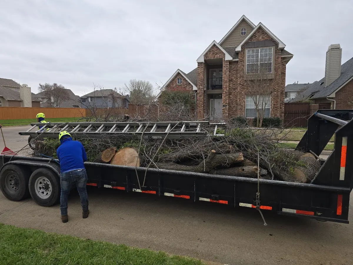 Expert Tree Fertilization with proper safety equipment in Gilmore City